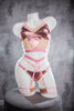 SET - ARUBA LOW/HIGH SHORTS + GARTER CHANTALLE BABY PINK