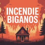Incendie Biganos vue forêt et maisons